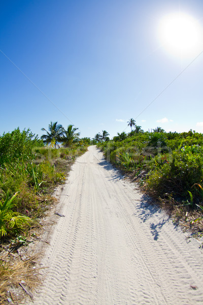Stock photo: Road to nowhere