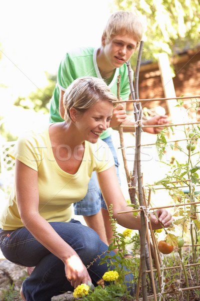 Mutter jugendlich Sohn entspannenden Garten Frau Stock foto © monkey_business