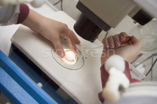 ストックフォト: 精子 · 卵 · 室 · 女性 · 顕微鏡 · 研究