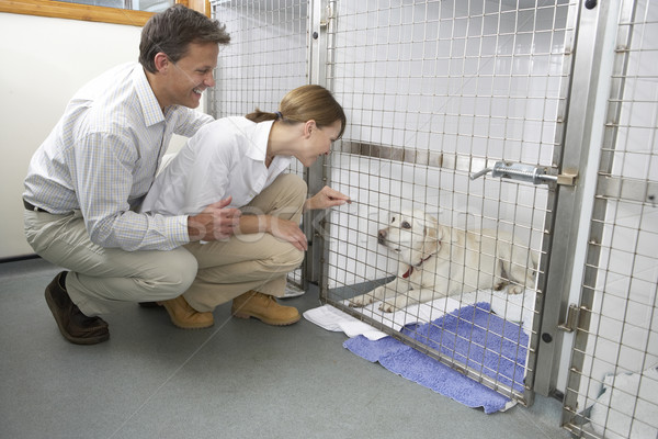 Couple Visiting Pet Dog Stock photo © monkey_business