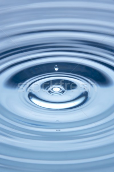 концентрический Круги воды природы дождь энергии Сток-фото © monkey_business