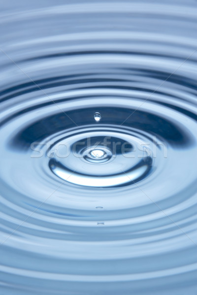 Concentric Circles Forming In Still Water Stock photo © monkey_business