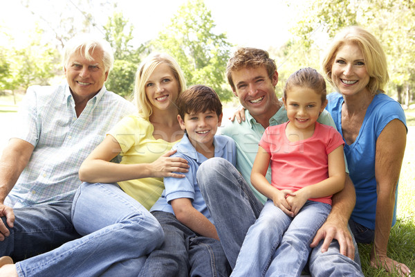 Extended Group Portrait Of Family Enjoying Day In Park Stock photo © monkey_business