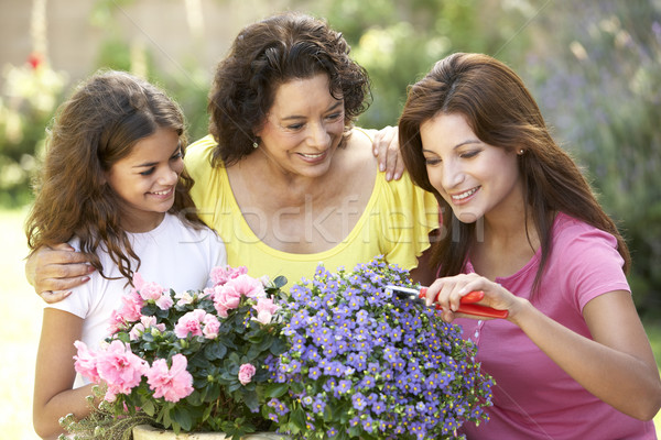 Senior vrouw volwassen dochter kleindochter tuinieren Stockfoto © monkey_business