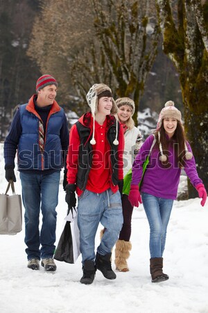 Group Of Young Friends Having Fun In Snowy Landscape Stock photo © monkey_business
