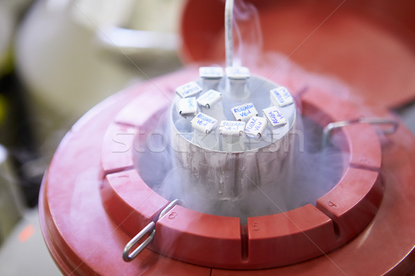 Congelada armazenamento esperma banco médico hospital Foto stock © monkey_business