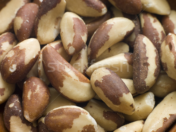 Brazil Nuts Stock photo © monkey_business