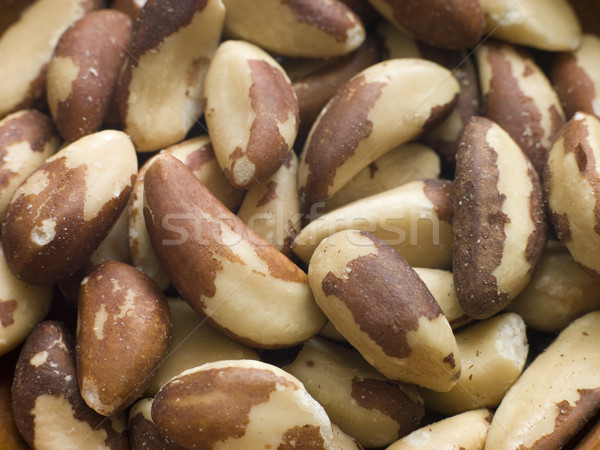 Stock photo: Brazil Nuts