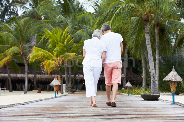 Rear View Of Senior Couple Walking On Wooden Jetty Stock photo © monkey_business