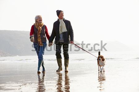 Due ragazzi raccolta conchiglie spiaggia natura Foto d'archivio © monkey_business