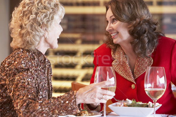 Stok fotoğraf: Arkadaşlar · akşam · yemeği · birlikte · restoran · kadın · içmek