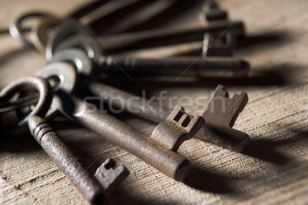Ring oude sleutels groep sleutel geschiedenis Stockfoto © monkey_business