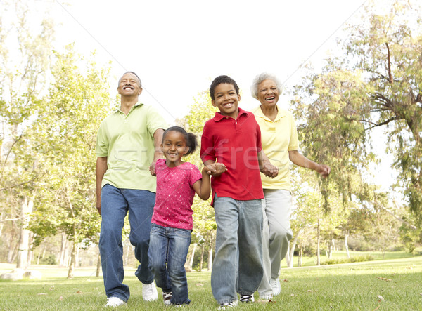 Grands-parents parc petits enfants fille homme jardin [[stock_photo]] © monkey_business