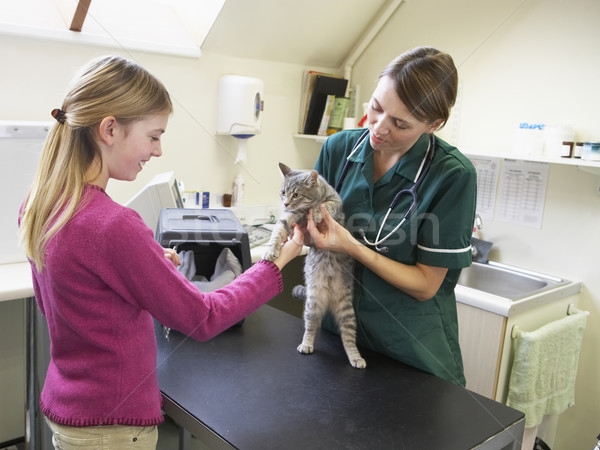 Young Girl Bringing Cat For Examination By Vet Stock photo © monkey_business