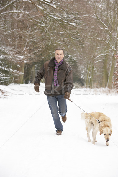 Senior Man Walking Dog Through Snowy Woodland Stock photo © monkey_business