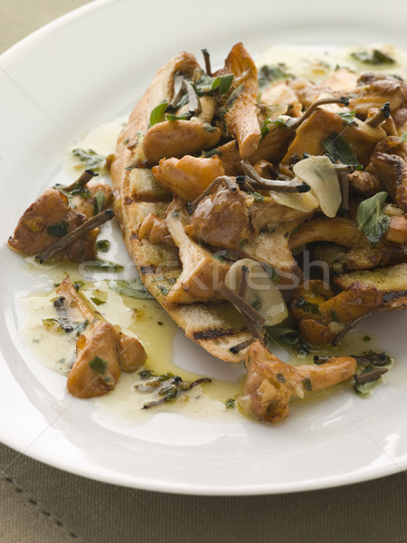 Wild Mushrooms Sauteed in Garlic Butter with Char grilled Baguet Stock photo © monkey_business
