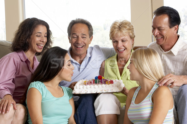 Kettő családok ünnepel születésnap együtt család Stock fotó © monkey_business
