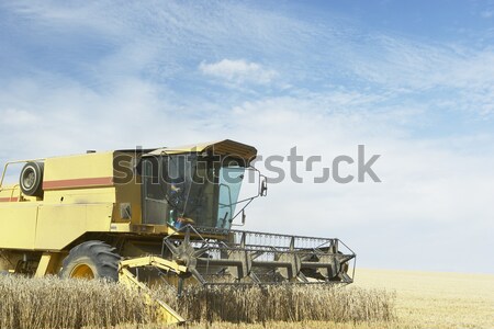 Combine Harvester Working In Field Stock photo © monkey_business