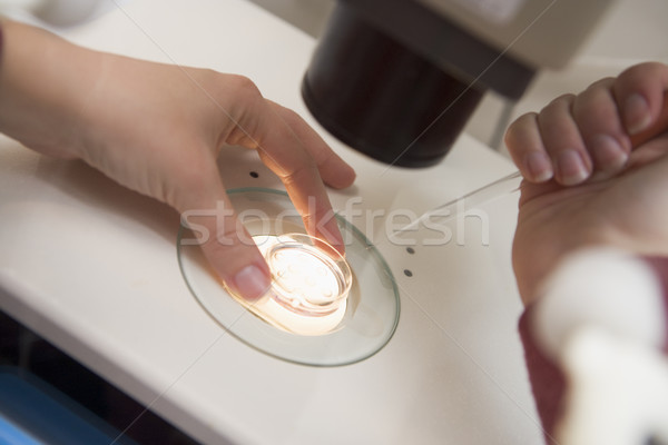 Stock photo: Embryologist adding sperm to egg