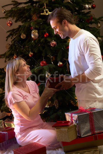 Couple Exchanging Presents In Front Of Tree Stock photo © monkey_business