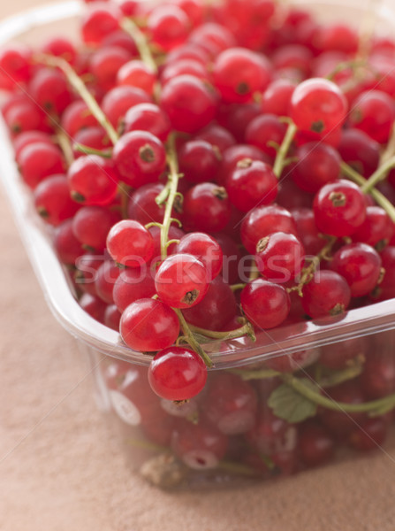 Redcurrants In Packaging Stock photo © monkey_business