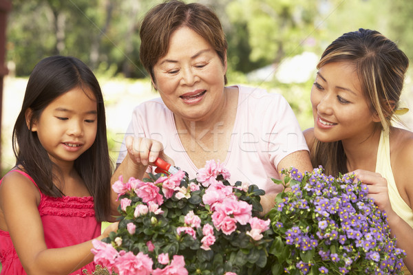 Stockfoto: Kleindochter · grootmoeder · moeder · tuinieren · samen · vrouw