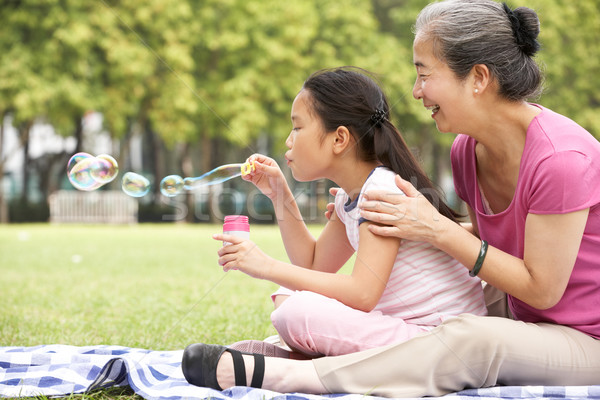 Chinese Grandmother With Granddaughter In Park Blowing Bubbles Stock photo © monkey_business