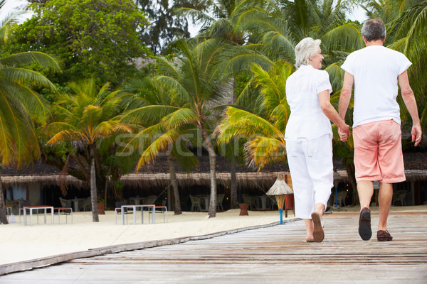 Rear View Of Senior Couple Walking On Wooden Jetty Stock photo © monkey_business