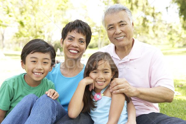 [[stock_photo]]: Portrait · grands-parents · petits · enfants · parc · enfant · jardin