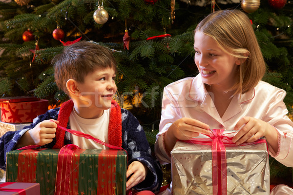 Stock photo: Children Opening Christmas Present In Front Of Tree