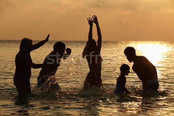 Sziluett többgenerációs család szórakozás tenger nő tengerpart Stock fotó © monkey_business