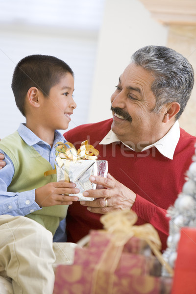 Boy Surprising Father With Christmas Present Stock photo © monkey_business