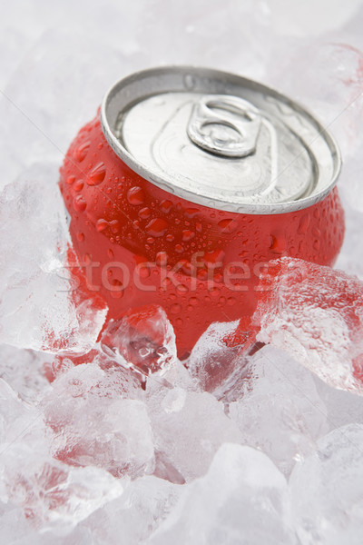 Piros konzerv pezsgő üdítőital szett jég Stock fotó © monkey_business