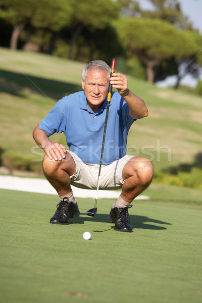 Senior Male Golfer On Golf Course Lining Up Putt On Green Stock photo © monkey_business
