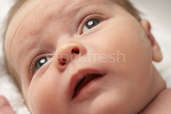 Bebê toalha cara menino estúdio Foto stock © monkey_business