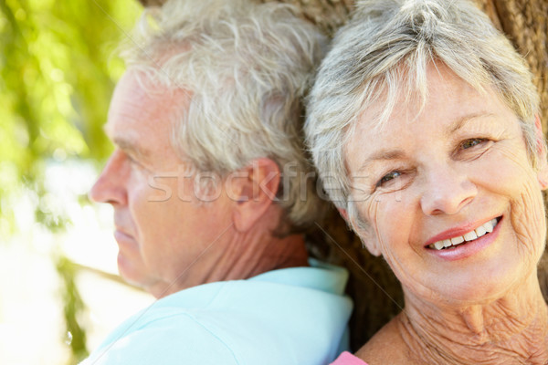 Foto stock: Retrato · casal · de · idosos · mulher · amor · jardim · cadeira