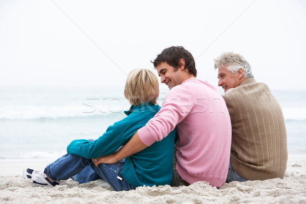 Dziadek ojciec wnuk posiedzenia zimą plaży Zdjęcia stock © monkey_business
