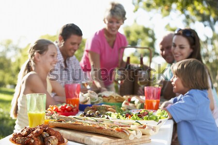 Multi Generation Family Having Outdoor Barbeque Stock photo © monkey_business