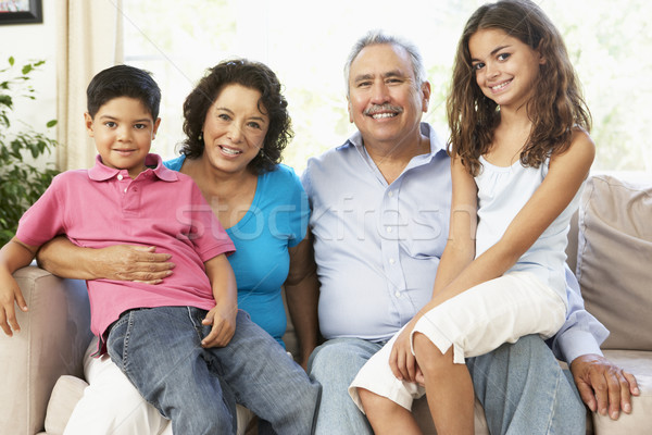 Foto stock: Mulher · usando · laptop · casa · feliz · laptop · sala · de · estar