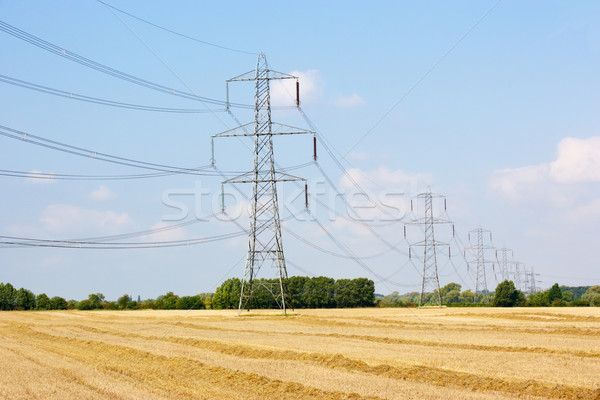 Electricity pylons in countryside Stock photo © monkey_business