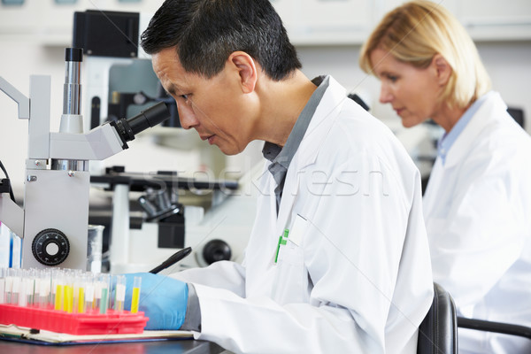 Stockfoto: Mannelijke · vrouwelijke · wetenschappers · laboratorium · vrouw · vrouwen
