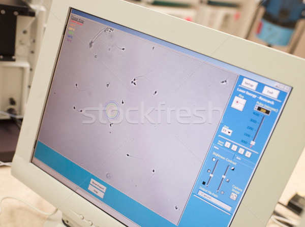 Monitor sperma iniezione laboratorio microscopio Foto d'archivio © monkey_business