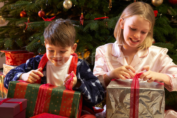 Foto stock: Ninos · apertura · Navidad · presente · árbol · feliz