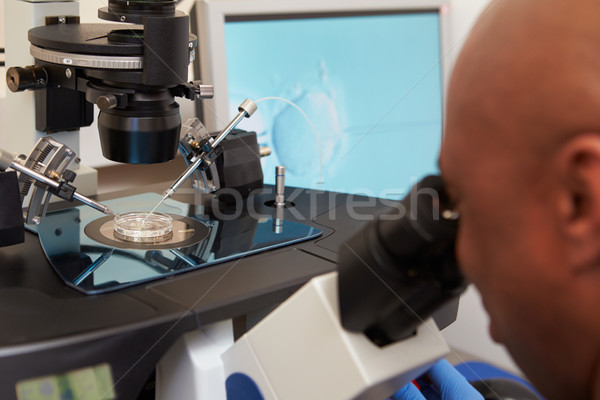 Labor Eier Behandlung Arzt medizinischen Krankenhaus Stock foto © monkey_business