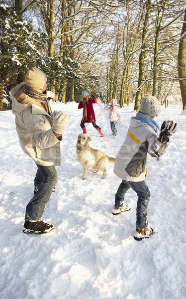 Stock photo: Family Having Snowball Fight In Snowy Woodland