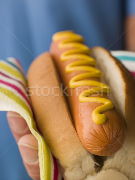 Foto stock: Perro · caliente · mostaza · servilleta · mujer · manos · alimentos