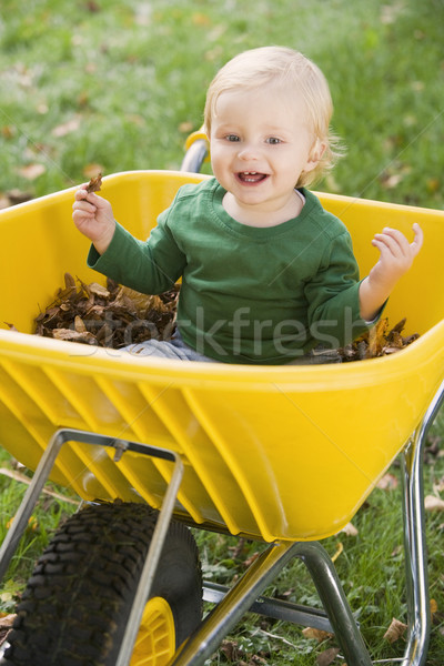 Młody chłopak posiedzenia taczki drzewo dziecko Zdjęcia stock © monkey_business