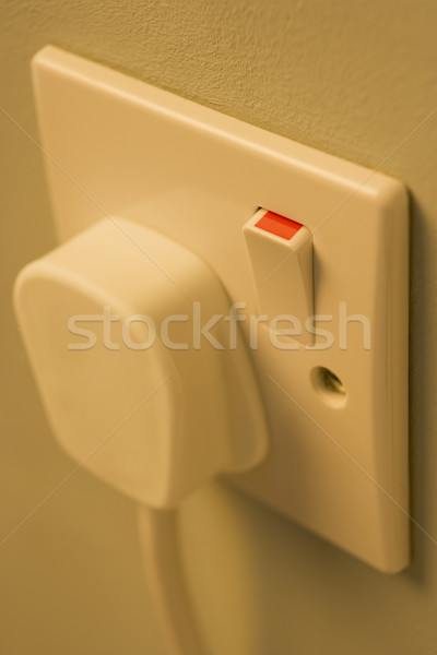 Electric Plug Connected To Outlet Stock photo © monkey_business