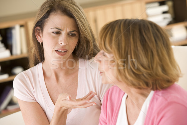 Two women sitting in living room arguing Stock photo © monkey_business