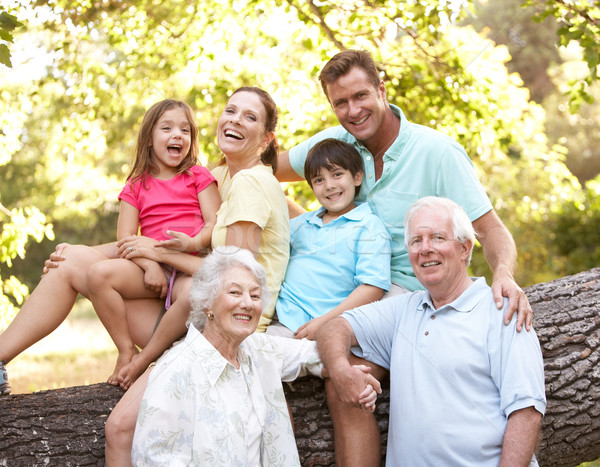 Portrait Of Extended Family Group In Park Stock photo © monkey_business